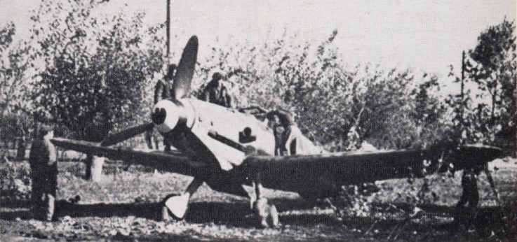 Anno 1944: un caccia tedesco Bf. 109G in dotazione all'Aviazione della Repubblica di Salò, tra i gelsi dei campi intorno all'aeroporto