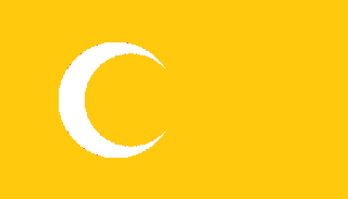 Bandiera degli Ayyubidi