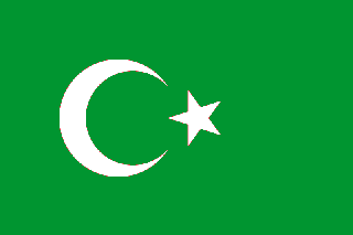 Bandiera del regno Fatimide