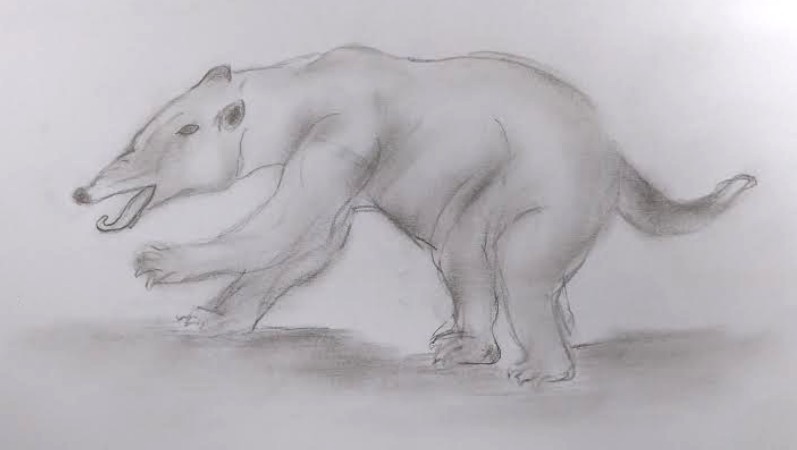 Fig. 2.3 Rappresentazione artistica di un Simbi (disegno di Paolo Maltagliati)