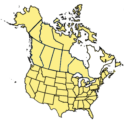 Gli Stati Uniti di Nord America (USNA) nel 2019