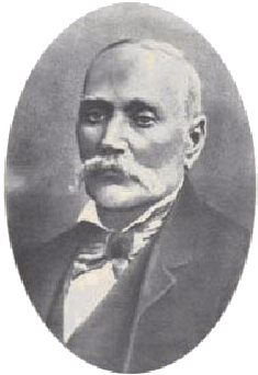 Marthinus Wessel Pretorius (1819-1901), 9 Presidente del Sudafrica