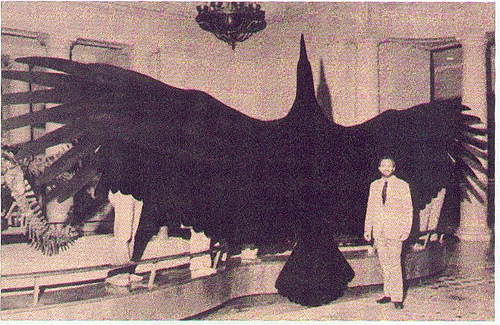 Argentavis.jpg