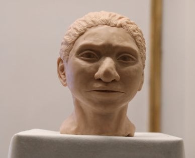 La prima ricostruzione dell'Uomo di Denisova