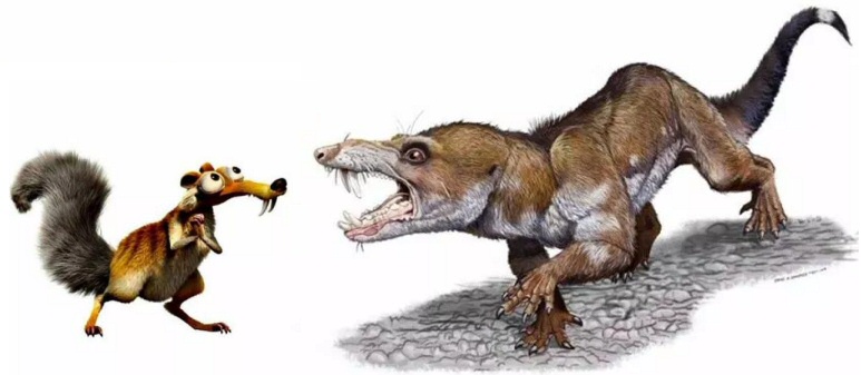 Lo Pseudotherium argentinus a confronto con Scrat de "L'era glaciale"