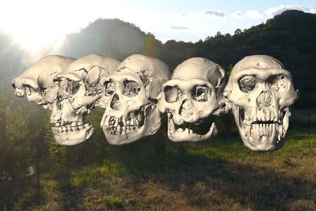 I cinque crani di Dmanisi sullo sfondo del sito del ritrovamento (immagine di M. Ponce de León e Ch. Zollikofer dell'Università di Zurigo)