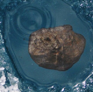 Un frammento della meteorite caduta nel lago Tagish, in Canada