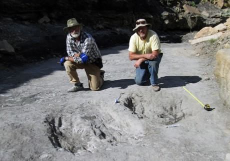 Due paleontologi accanto a un'impronta e a un graffio prodotto da un dinosauro (grazie a M. Lockley)