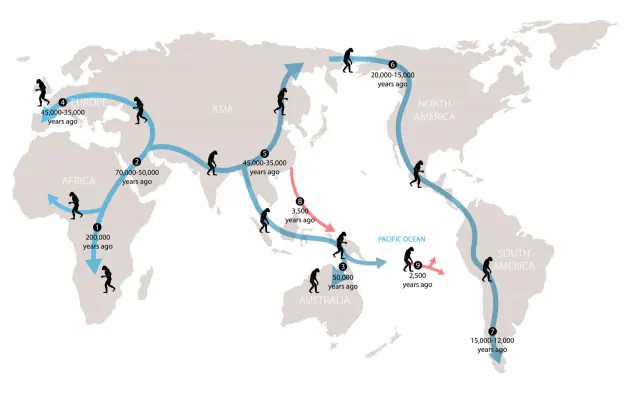 Sintesi delle migrazioni dell'Homo sapiens negli ultimi 200.000 anni