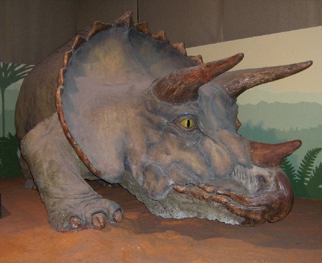 Ricostruzione realistica di un Triceratope presso il Museo Civico di Storia Naturale di Milano (foto dell'autore di questo sito)