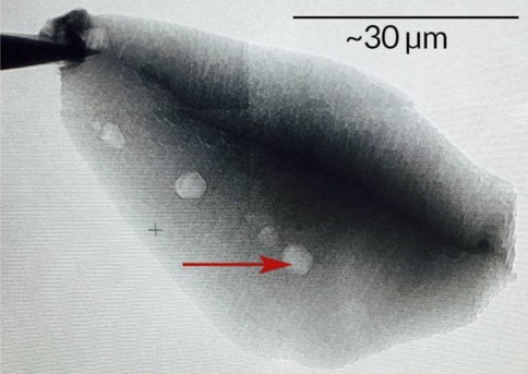 Le inclusioni di grafite in un cristallo di zircone di 4,1 miliardi di anni fa (Fonte: Ucla)