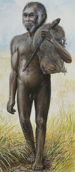 L'Homo floresiensis visto dall'artista Peter Schouten