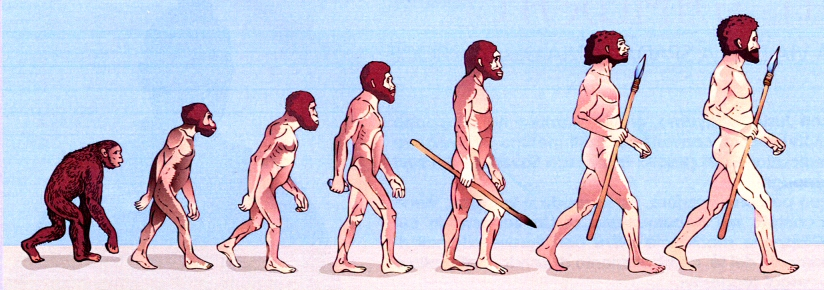 L'evoluzione dell'uomo in un disegno per ragazzi tratto dalla rubrica "La stanza dei piccoli" del numero 39 di "Faniglia Cristiana" del 25 settembre 2016