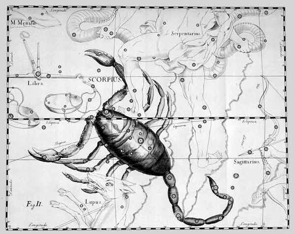 Lo Scorpione visto da Hevelius