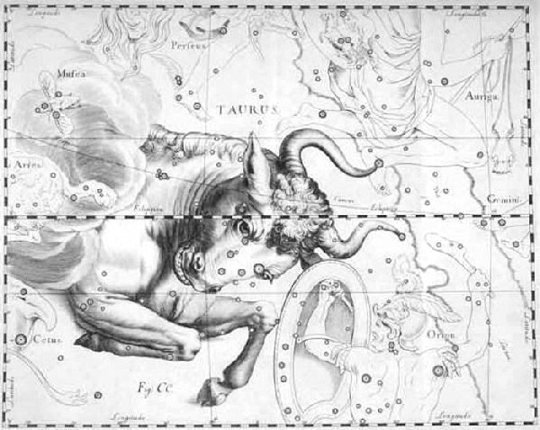 Il Toro visto da Hevelius