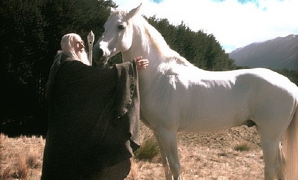 Gandalf e Ombromanto nella Trilogia diretta da Peter Jackson