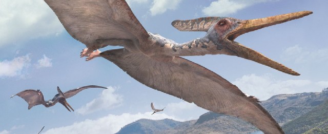 Ecco a confronto alcuni Pterosauri del Cretacico e l'orrenda creatura alata che serve da cavalcatura ai Nazgûl