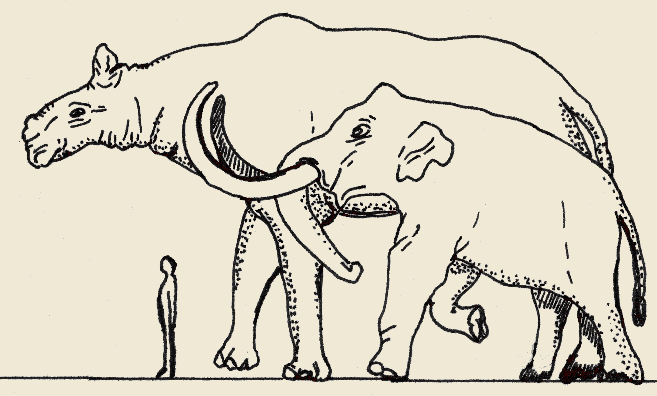 Baluchiterium, il più grande mammifero mai esistito, qui confrontato con un mastodonte suo contemporaneo e con un uomo attuale