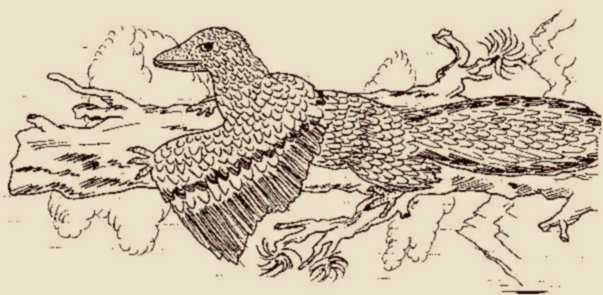 Archaeopterix, ritenuto il primo rettile volante