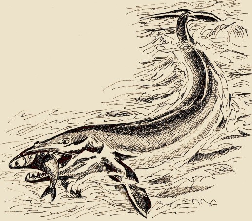 Basilosaurus, un antenato delle balene