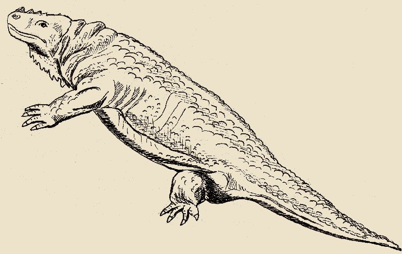 Diadecte (Diadectes absitus), uno dei primi rettili erbivori della storia, disegno dell'autore