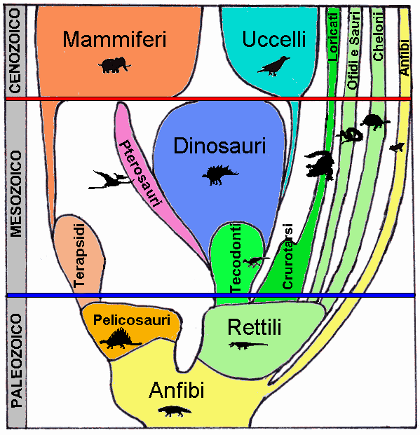 Albero genealogico dei vertebrati terrestri