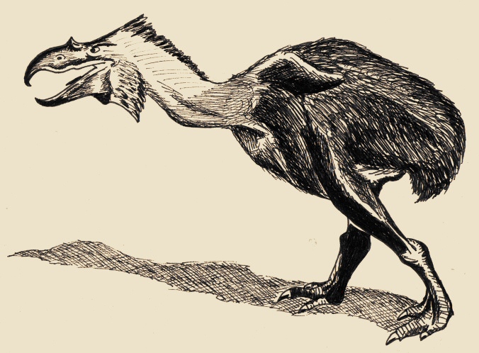 Il Fororaco, gigantesco uccello dell'Eocene