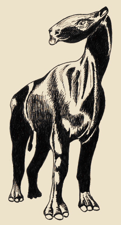 Indricotherium, antenato dei rinoceronti