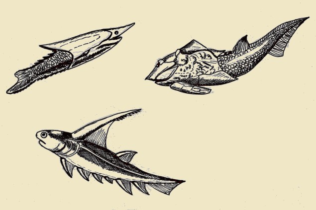 Tre pesci del Siluriano (vedi testo), disegno dell'autore