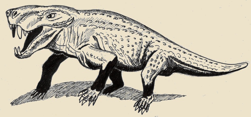 Sauroctono (Sauroctonus progressus), altro "rettile mammifero", disegno dell'autore