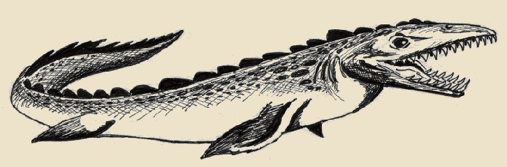 Tilosauro, rettile marino