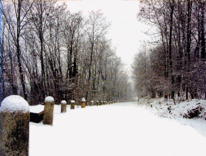 Via Gaggio sotto una fitta nevicata nel gennaio 2011
