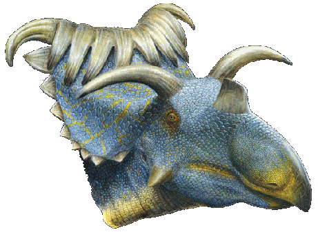 Ricostruzione del Kosmoceratops richardsoni