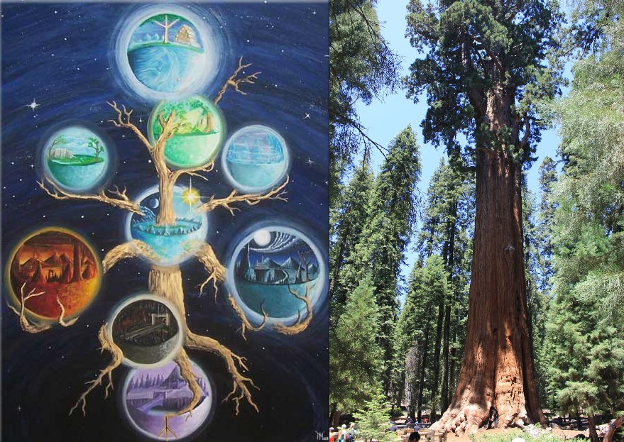 A sinistra: l'albero cosmico Yggdrasil che sorregge i nove mondi della mitologia norrena. A destra: la sequoia "Generale Sherman" nel Parco nazionale di Sequoia, l'albero più imponente del pianeta Terra