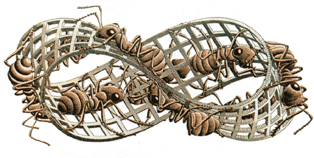 Maurits C. Escher, Striscia di Moebius II, 1963, xilografia su legno