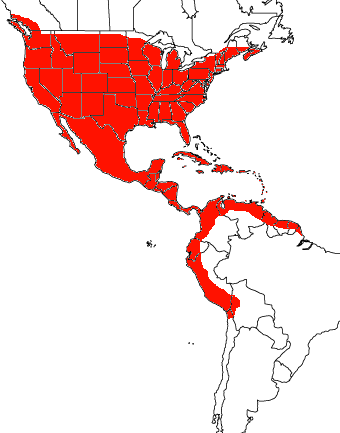 Massima espansione dell'Impero Romano in America (confrontata con i confini degli stati nella nostra Timeline)