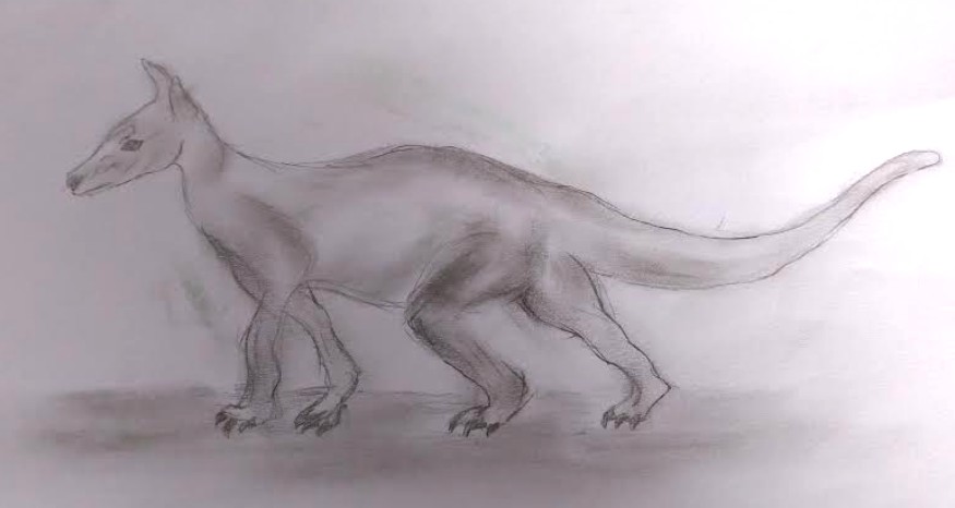 Fig 2.4 Rappresentazione artistica di un Pimbo (disegno di Paolo Maltagliati)