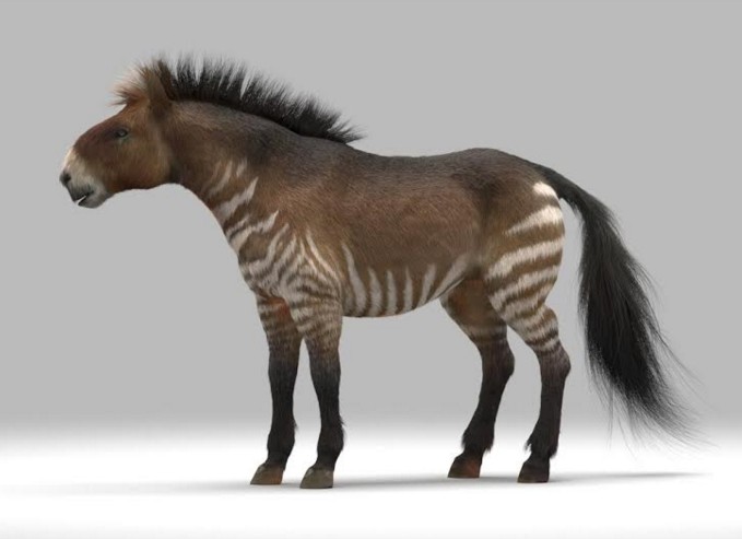 Fig 2.7 Un cavallo magellanico allo stato brado