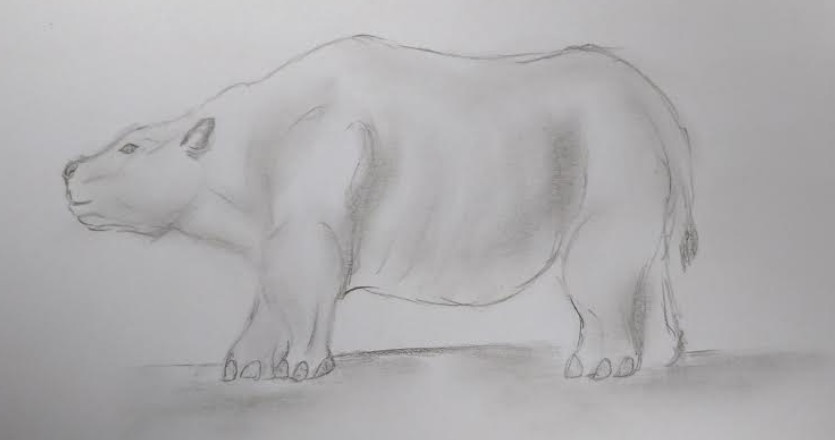 Fig 2.8 Rappresentazione artistica di uno Sciola (disegno di Paolo Maltagliati)